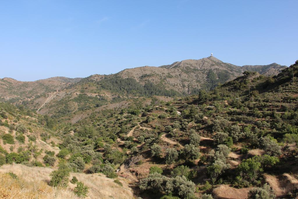 Lazania Hatzikyprianou Museum Studio חדר תמונה